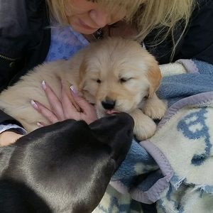 Meet your Posher, Kat